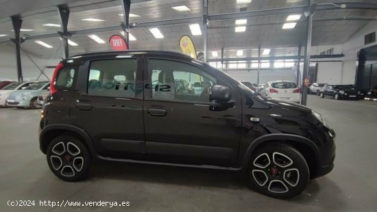 Fiat Panda 1.0 Gse 70cv Hybrid City Life - Albacete