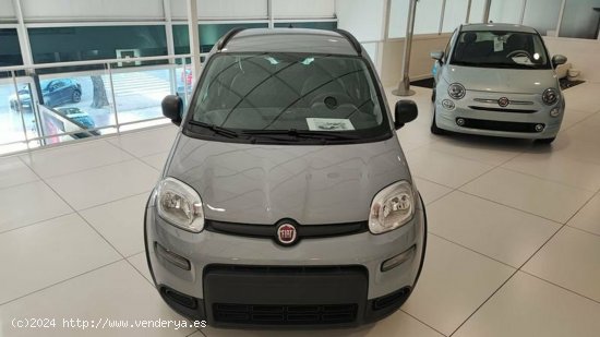 Fiat Panda 1.0 Gse 70cv Hybrid City Life - Albacete