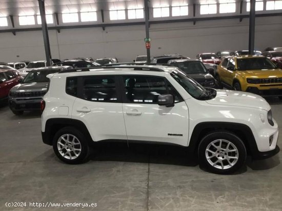 Jeep Renegade 1.6 Mjet 130cv 4x2 Limited - Albacete