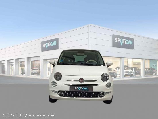 Fiat 500 Dolcevita 1.0 Hybrid 51KW (70 CV) - Jaén