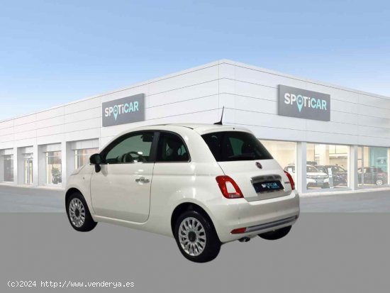 Fiat 500 Dolcevita 1.0 Hybrid 51KW (70 CV) - Jaén