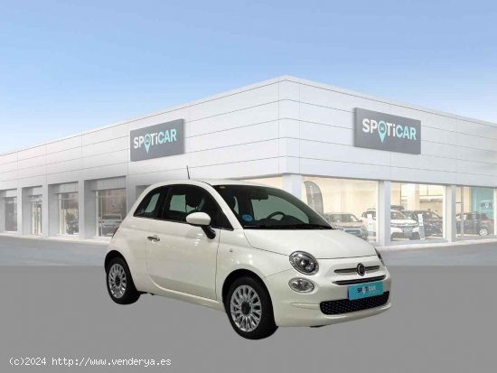 Fiat 500 Lounge 1.2 8v 51KW (69 CV) - Jaén