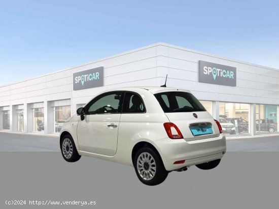 Fiat 500 Lounge 1.2 8v 51KW (69 CV) - Jaén