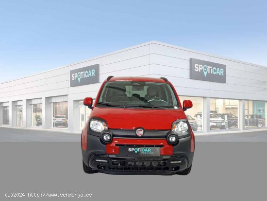 Fiat Panda Pandina 1.0 Hybrid 51kW (70cv) - Jaén