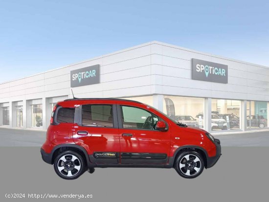 Fiat Panda Pandina 1.0 Hybrid 51kW (70cv) - Jaén