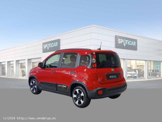 Fiat Panda Pandina 1.0 Hybrid 51kW (70cv) - Jaén