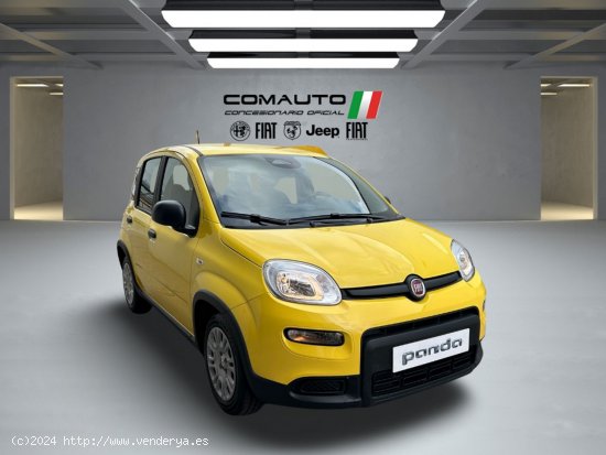 Fiat Panda   1.0 Hybrid 51kW (70cv) Pandina - Castelló