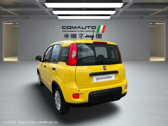 Fiat Panda   1.0 Hybrid 51kW (70cv) Pandina - Castelló