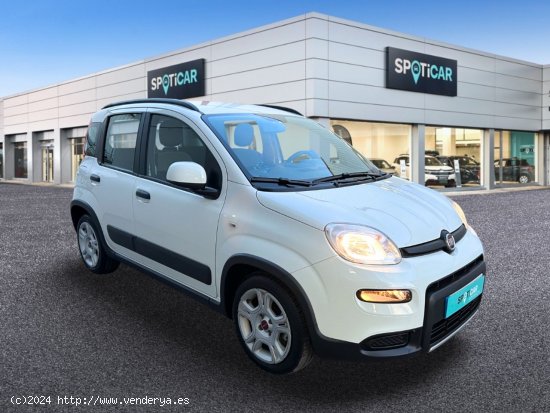 Fiat Panda   Hybrid 1.0 Gse 51kw (70CV) City Life - Castelló