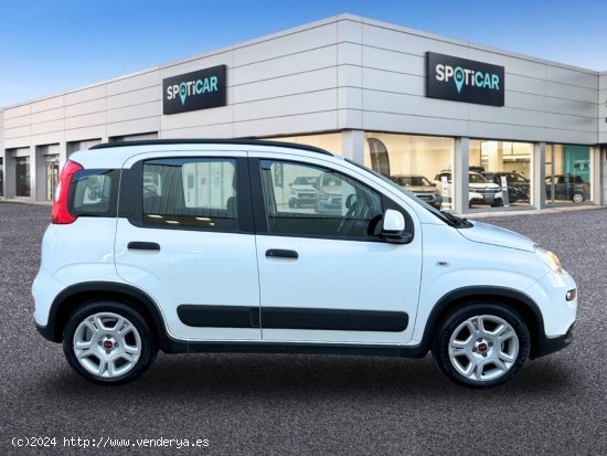 Fiat Panda   Hybrid 1.0 Gse 51kw (70CV) City Life - Castelló