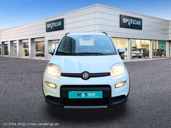 Fiat Panda   Hybrid 1.0 Gse 51kw (70CV) City Life - Castelló