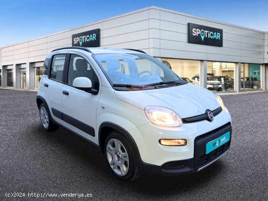 Fiat Panda   Hybrid 1.0 Gse 51kw (70CV) City Life - Castelló