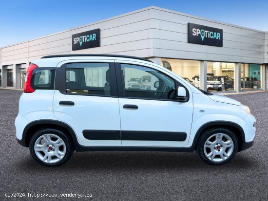 Fiat Panda   Hybrid 1.0 Gse 51kw (70CV) City Life - Castelló