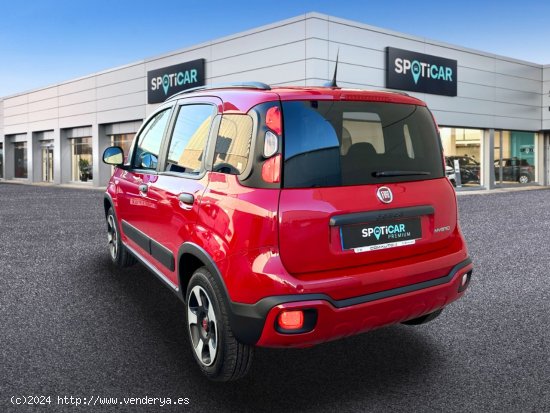 Fiat Panda  Panda  1.0 Hybrid 51kw (70CV) Cross - Castelló