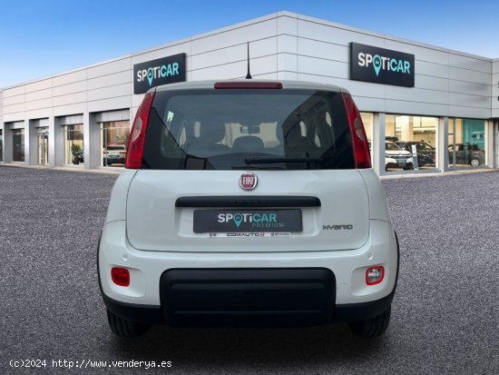 Fiat Panda  Panda Hybrid 1.0 51kw+Pack Comfort Plus - - Castelló