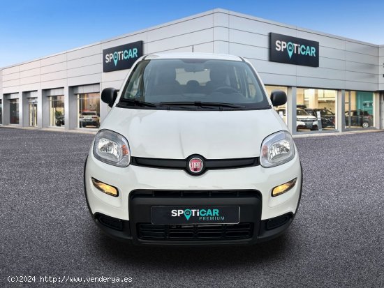 Fiat Panda  Panda Hybrid 1.0 51kw+Pack Comfort Plus - - Castelló