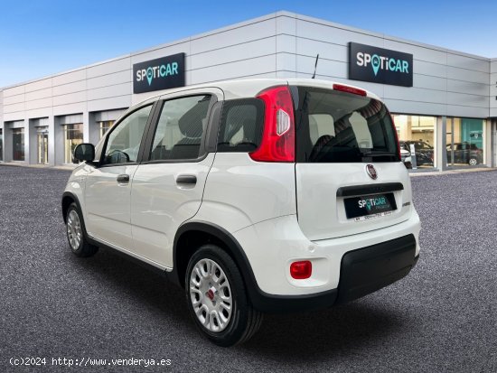 Fiat Panda  Panda Hybrid 1.0 51kw+Pack Comfort Plus - - Castelló