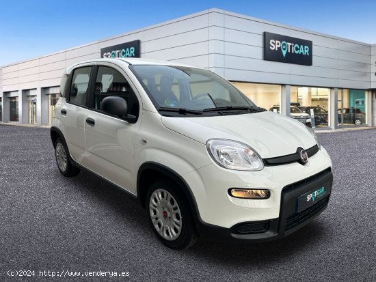 Fiat Panda  Panda Hybrid 1.0 51kw+Pack Comfort Plus - - Castelló