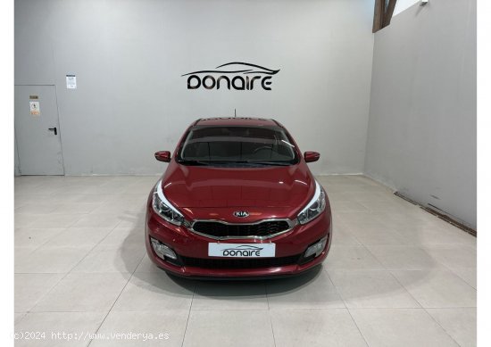 Kia Pro_Ceed 1.6 CRDi VGT 128cv Emotion - Sada