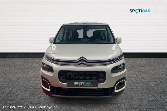 Citroën Berlingo  Talla XL BlueHDi 130 S&S 6v Feel - León