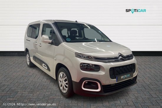 Citroën Berlingo  Talla XL BlueHDi 130 S&S 6v Feel - León