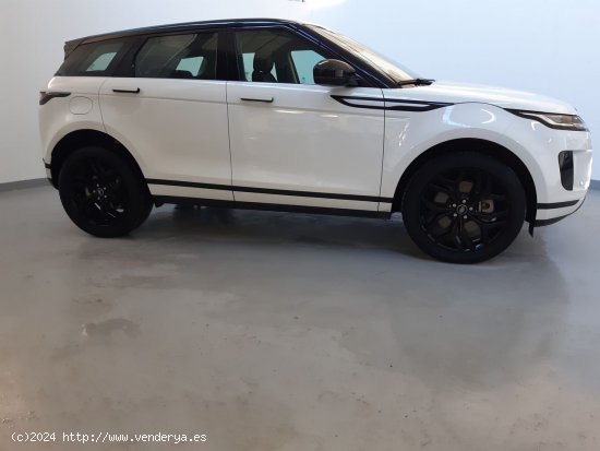 Land-Rover Range Rover D160 MHEV AWD S AUTO - 