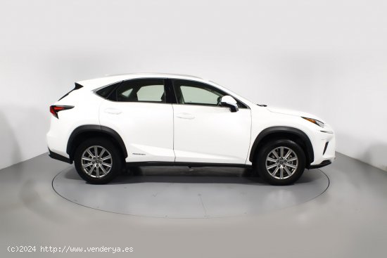 Lexus NX 2.5 300H BUSINESS 2WD AUTO 5P - 