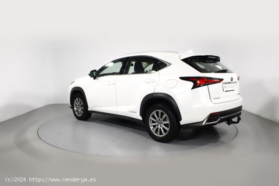 Lexus NX 2.5 300H BUSINESS 2WD AUTO 5P - 