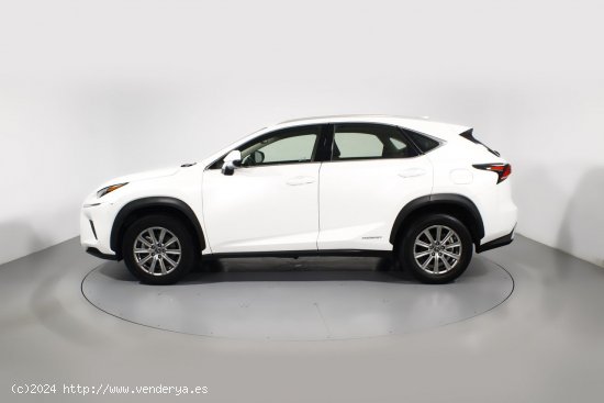 Lexus NX 2.5 300H BUSINESS 2WD AUTO 5P - 