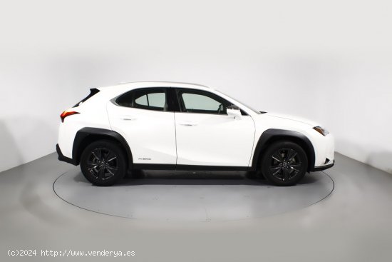 Lexus UX 2.0 250H BUSINESS AUTO 5P - 