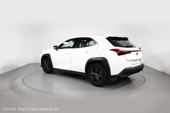 Lexus UX 2.0 250H BUSINESS AUTO 5P - 