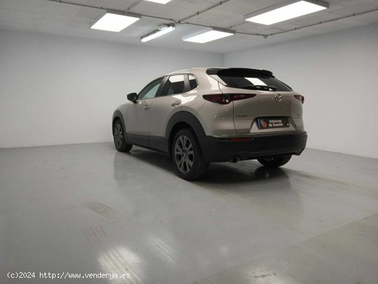 Mazda CX-30 2.0 E-SKYACTIV-X 137KW EVOLUTION 2WD 5P - 