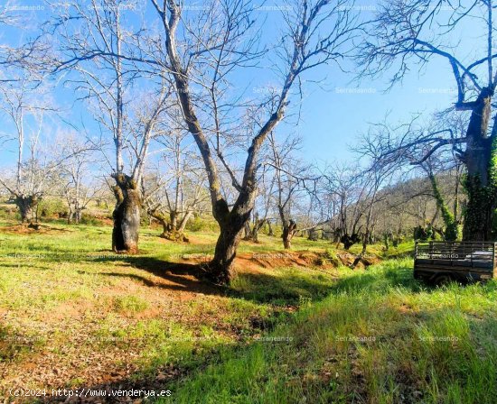 SE VENDE FINCA RÚSTICA EN VENTA EN GALAROZA (HUELVA) ESPAÑA. - Galaroza