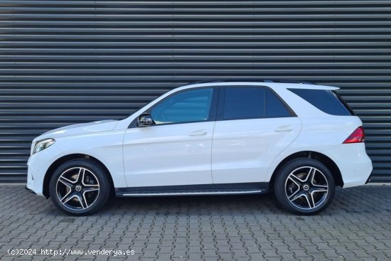 Mercedes Clase GLE 350d AMG - Daimiel