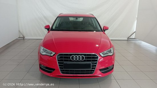 Audi A3   Sportback 1.6 TDI clean d 110CV Advanced - 