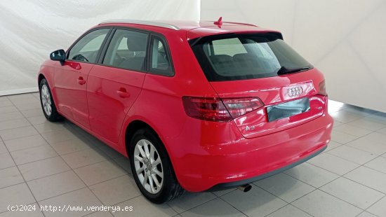 Audi A3   Sportback 1.6 TDI clean d 110CV Advanced - 