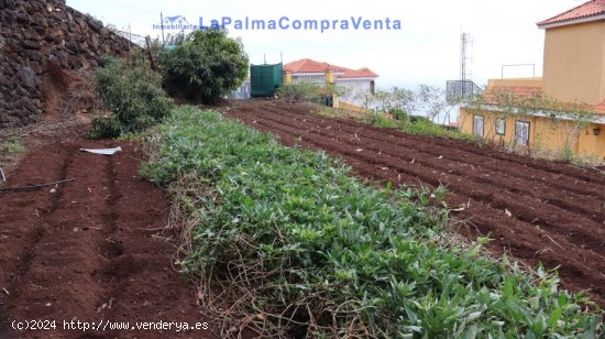 Suelo rústico en Venta en Puntallana Santa Cruz de Tenerife