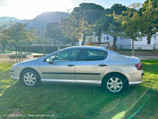 Peugeot 407 Sr Confort - ROSES