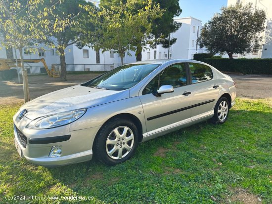 Peugeot 407 Sr Confort - ROSES