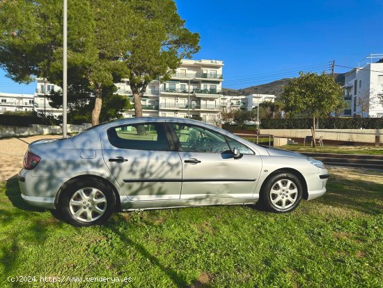 Peugeot 407 Sr Confort - ROSES