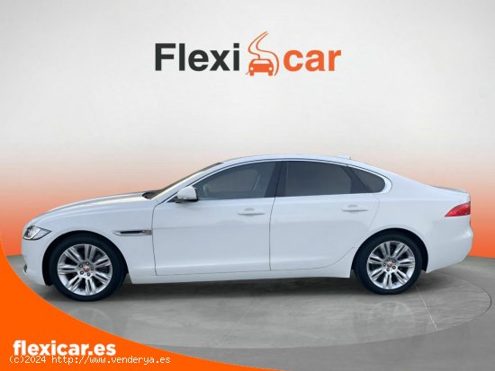 Jaguar XF 2.0D 163PS Prestige Auto - Vitoria-Gasteiz