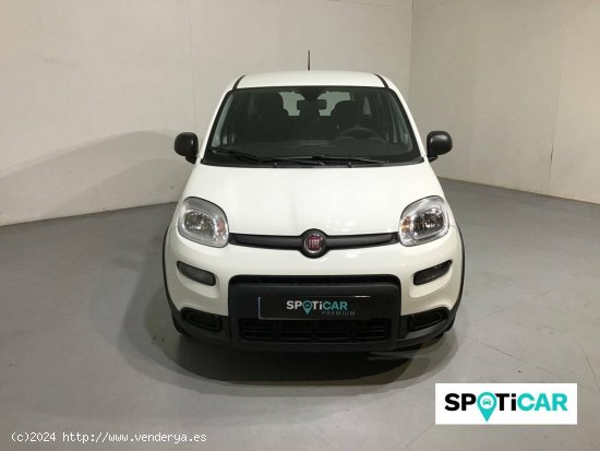 Fiat Panda   Hybrid 1.0 Gse 51kw (70CV) City Life - Barberà del Vallès