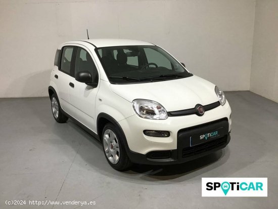 Fiat Panda   Hybrid 1.0 Gse 51kw (70CV) City Life - Barberà del Vallès