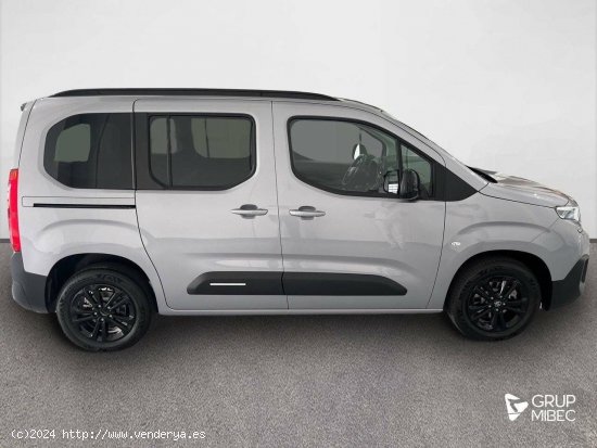 Citroën Berlingo  Talla M BlueHDi 100 S&S Plus - Lleida