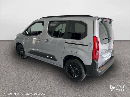 Citroën Berlingo  Talla M BlueHDi 100 S&S Plus - Lleida