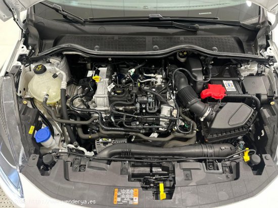 Ford Fiesta 1.0 ECOBOOST MHEV STLine 125 CV - Zaratán