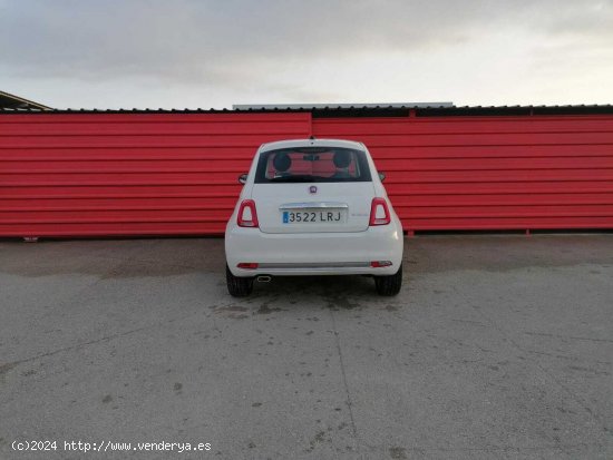 Fiat 500 1.0 HYBRID DOLCEVITA 3P - Palma