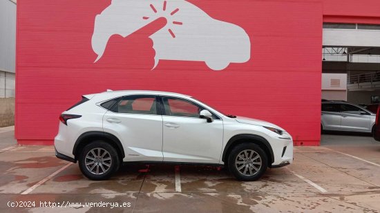 Lexus NX 2.5 300H BUSINESS 2WD AUTO 5P - Palma