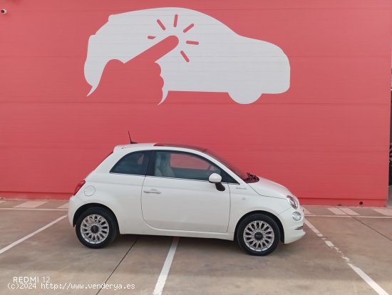 Fiat 500 FIAT 500 1.0 DOLCEVITA HYBRID 70CV - Palma