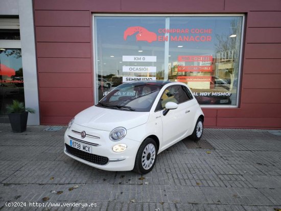 Fiat 500 FIAT 500 1.0 DOLCEVITA HYBRID 70CV - Palma